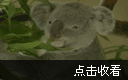 初一英语下册第三课《你为什么喜欢考拉？Why do you like koalas? (Section A)》